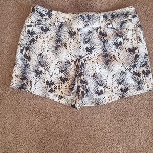 White House black market snake print shorts. Tags.